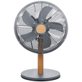 Boden Stark 30cm Desk Fan