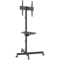 Volkano Steel series Fixed Trolley TV Bracket  32" - 55" TVs