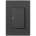 Ellies 1 Lever 2 Way Switch 2x4 (60mmx100mm) -BK