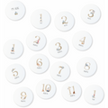 Echo Baby Milestone Cards - Nautical