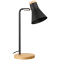 Switched Liron Series Metal Desk Lamp - Black