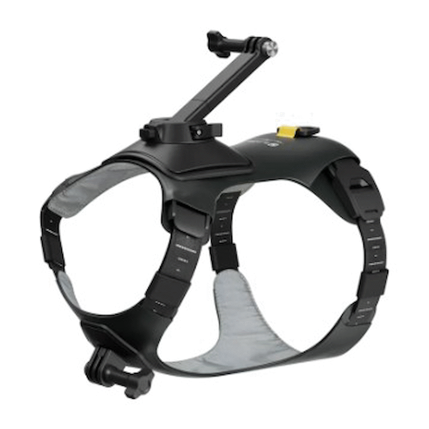 Insta360 Pet Harness Mount Size M
