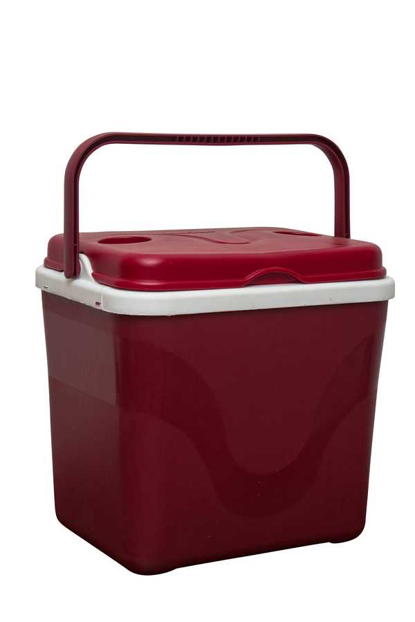 Cooler Box 25L I'm Cool (Black | Grey Inner)