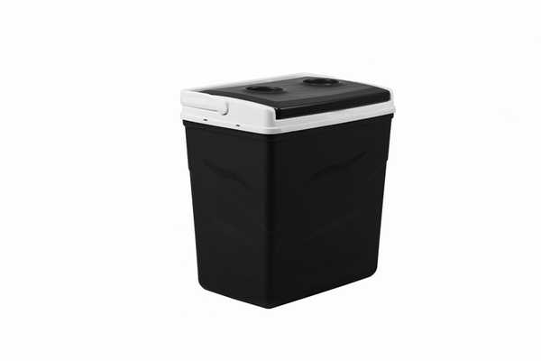 Cooler Box 26L Chilling (Bl | White)