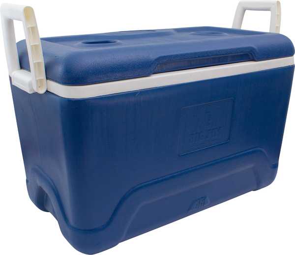 Cooler Box 50L I'm Cool (Royal)