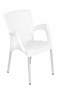 Venice Arm Chair (White)