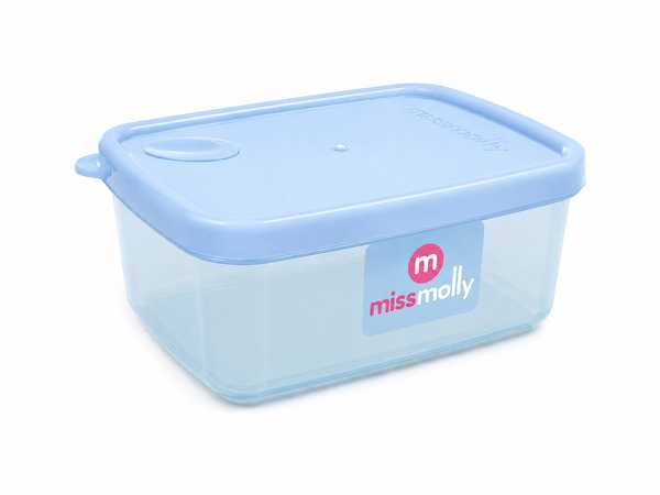 Gourmet 500ml Rectangular Saver (Trans DBlue)