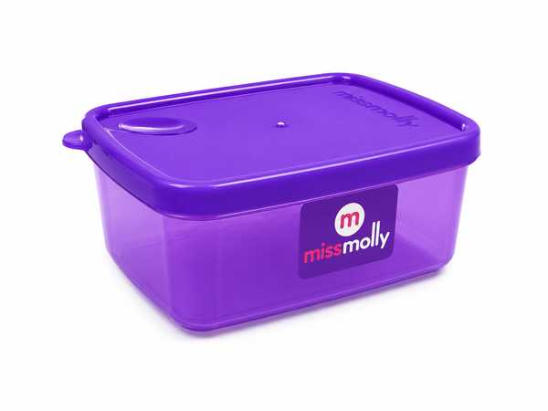 Gourmet 500ml Rectangular Saver (Trans Purple)