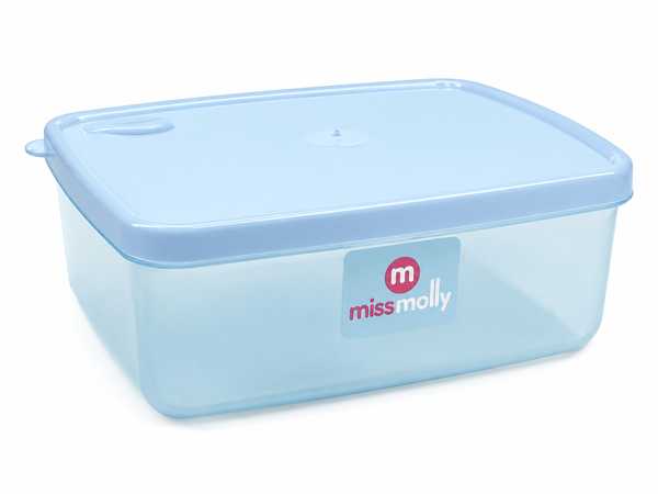 Gourmet 1L Rectangular Saver (Trans DBlue)