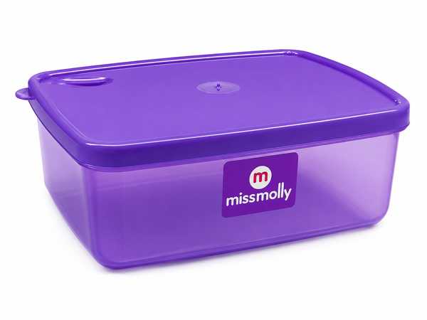 Gourmet 1L Rectangular Saver (Trans Purple)