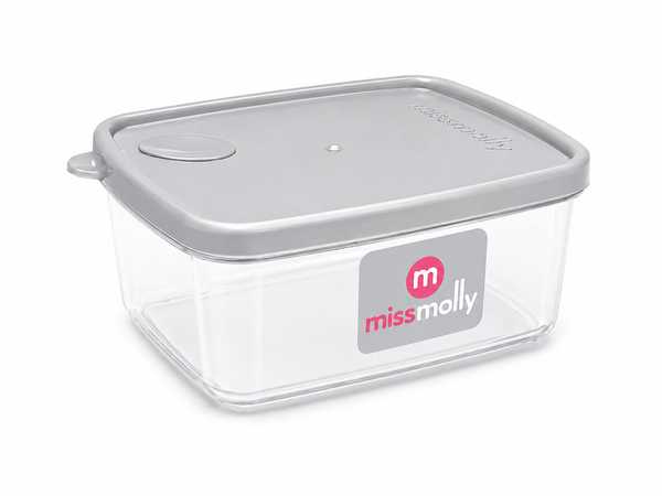 Gourmet 1L Rectangular Saver (Platinum)