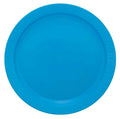 Fancy Dinner Plate 10's (Delicate)
